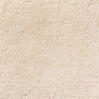 Kochi-Calico