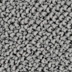 Light_Grey_-_0932740_ege_carpets_grand