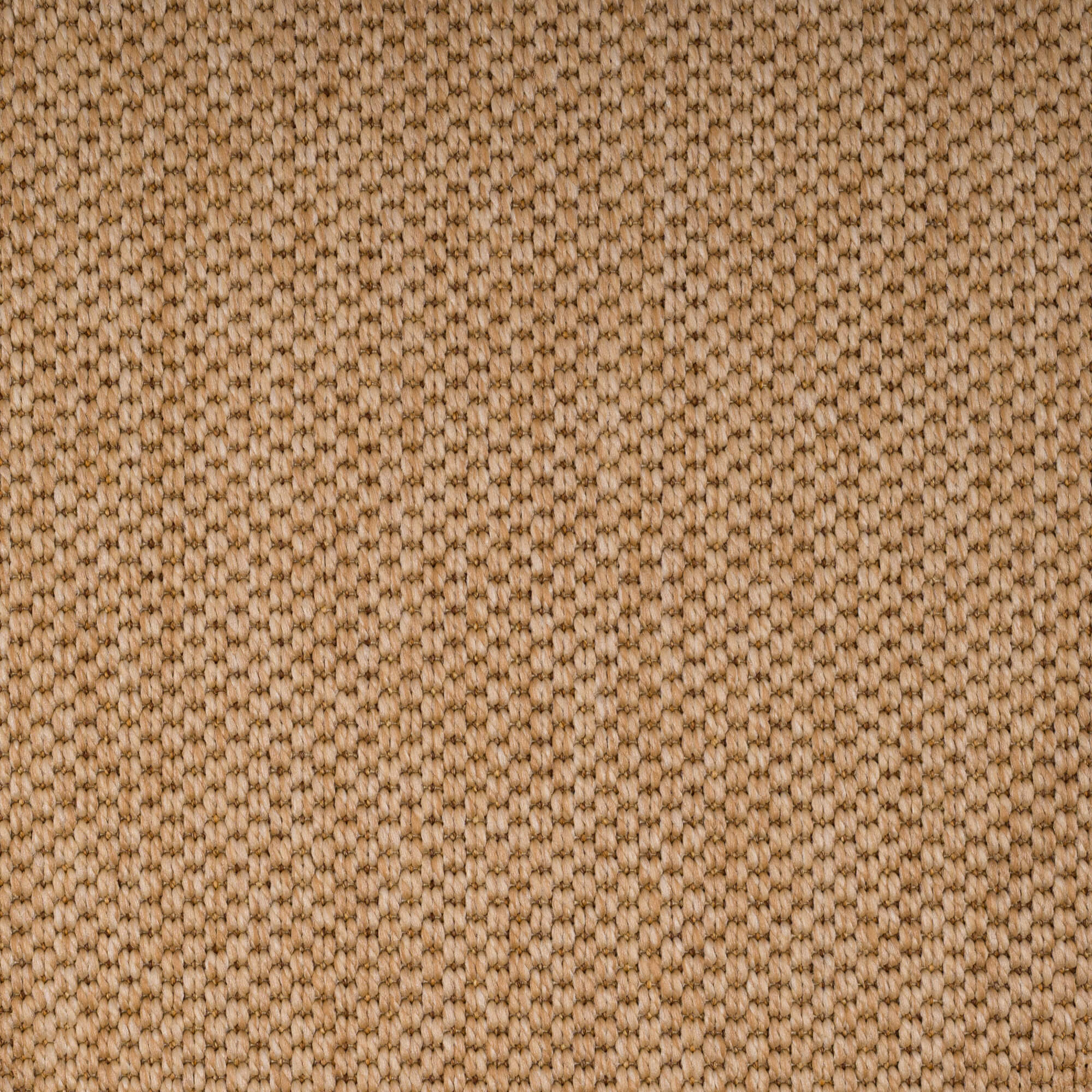 PANAMA-Natural3227