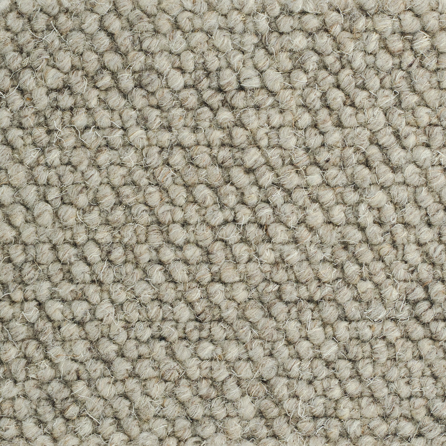 New-Zealand-wool-Kitt-35