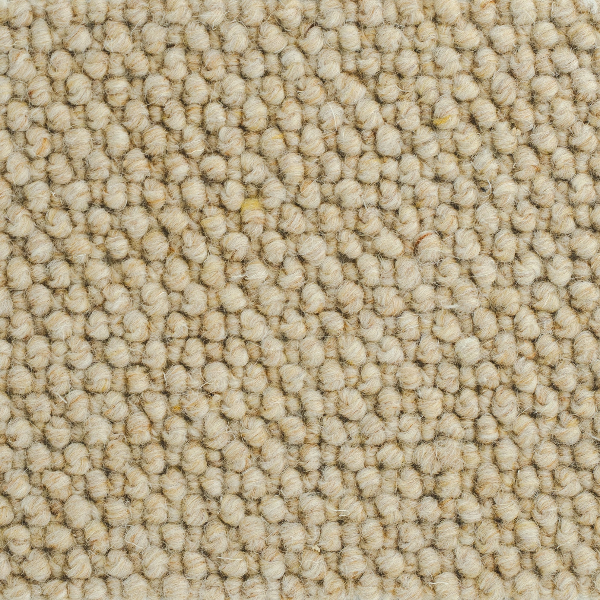 New-Zealand-wool-sand-10