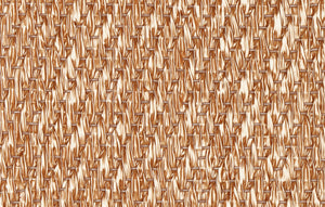 Bolon Matta - Now