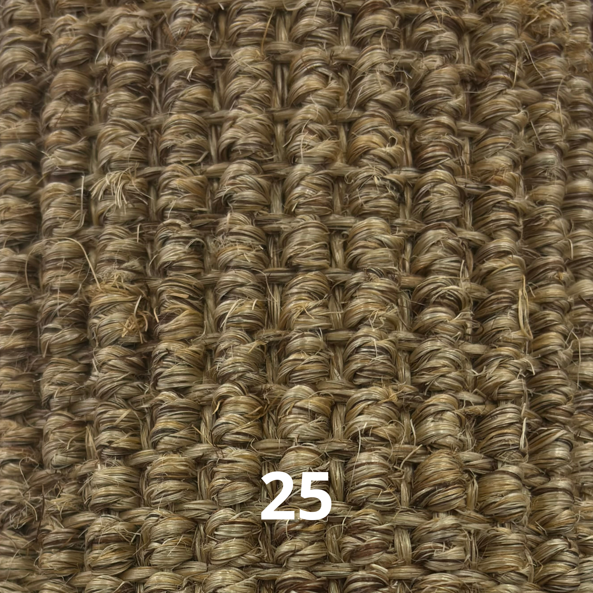 Robusta44HeavyBoucle-25