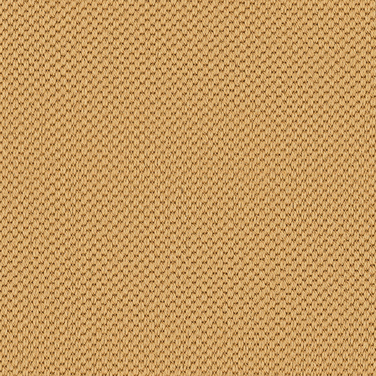 Sicoma-Dragon-Grass-701-wheat