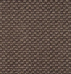 TigersEye8212-dune