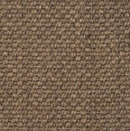 TigersEye8266-ash