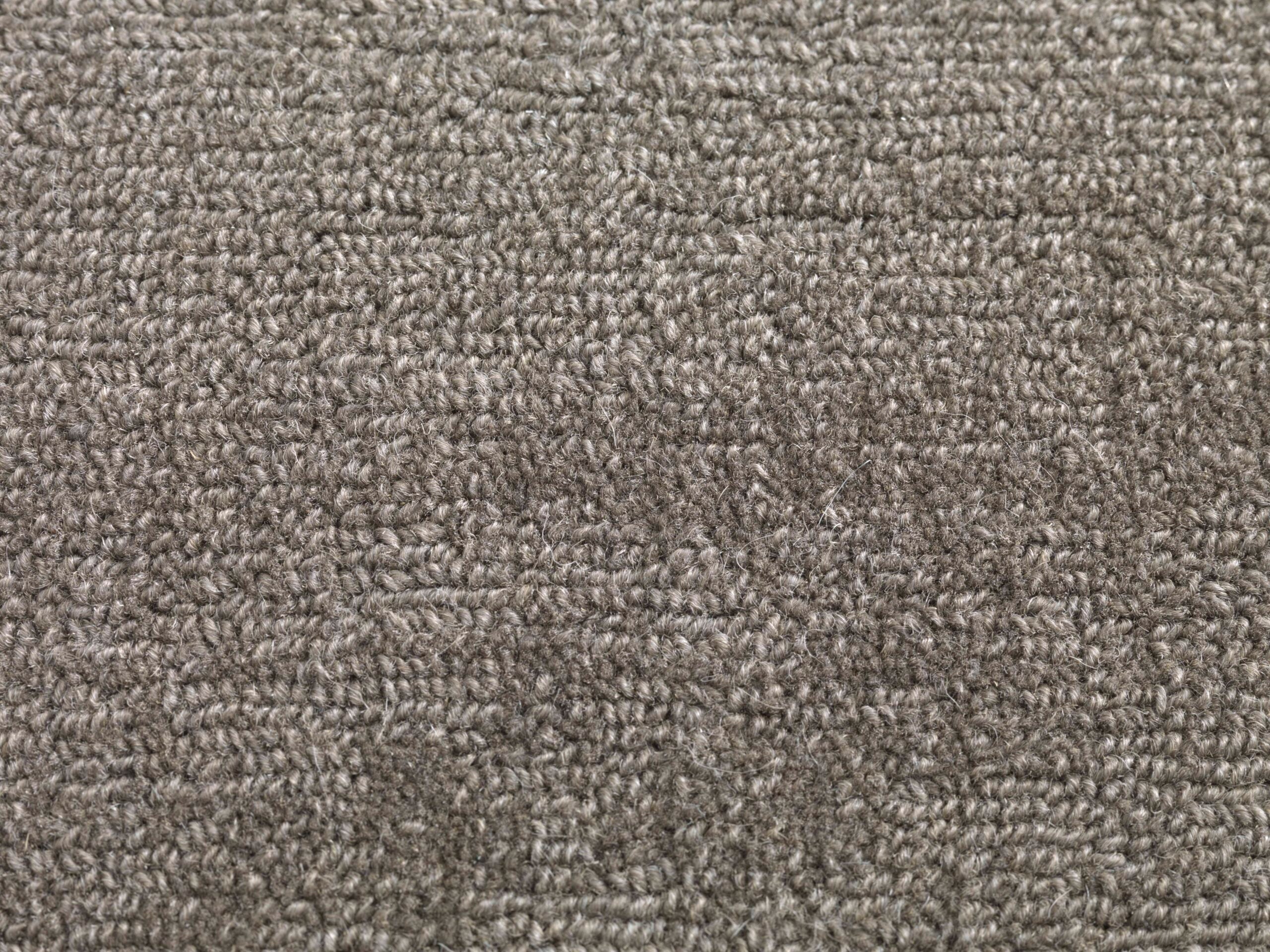 Willingdon-Seal-by-Jacaranda-P1-scaled