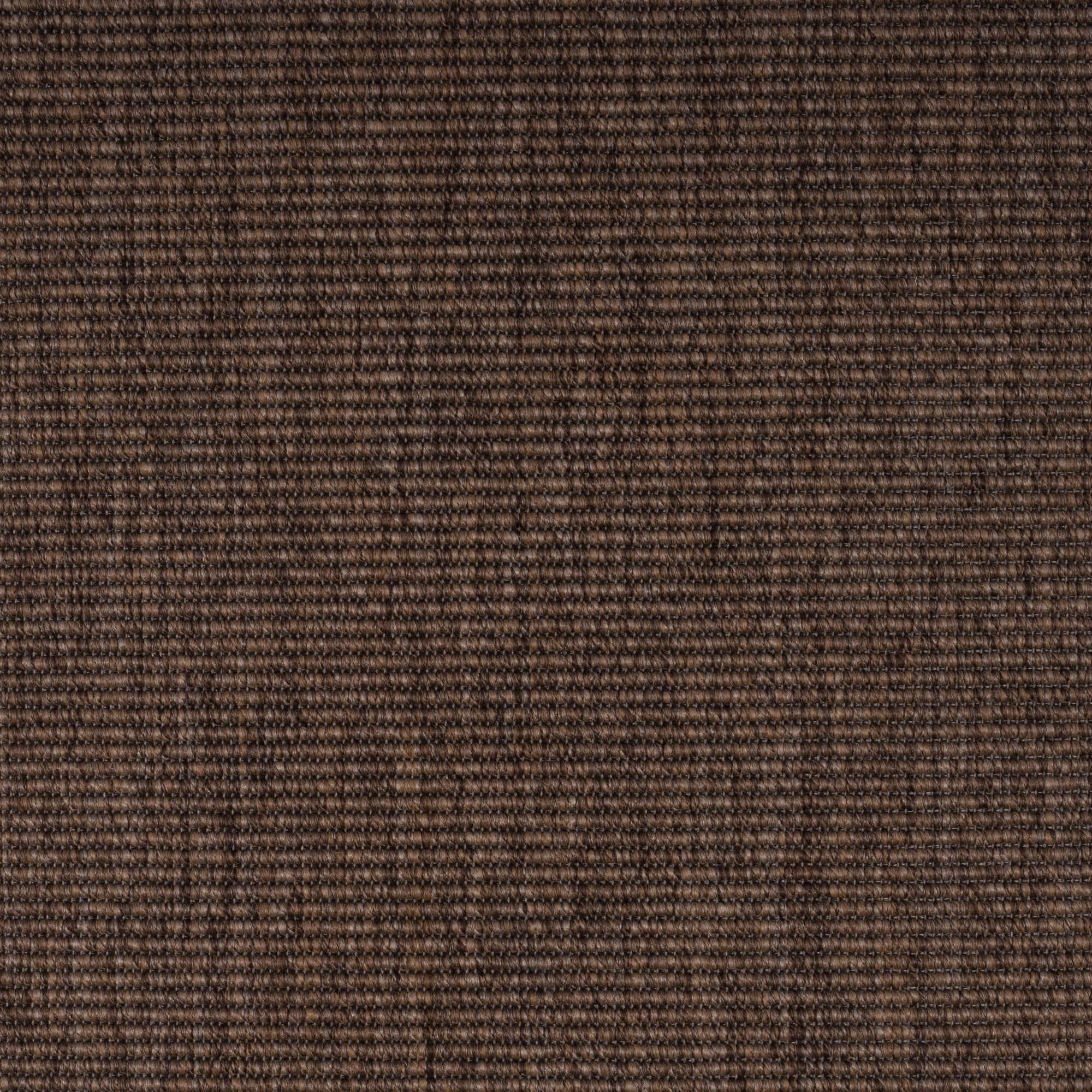 brown-boucle67-31-131