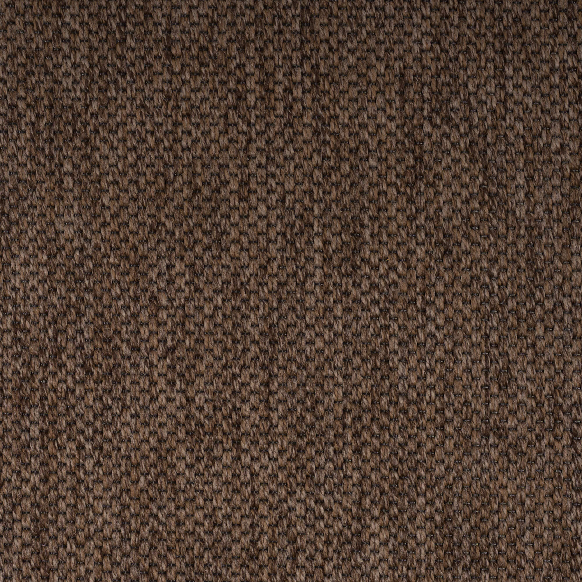 brown-panama-69-31-131