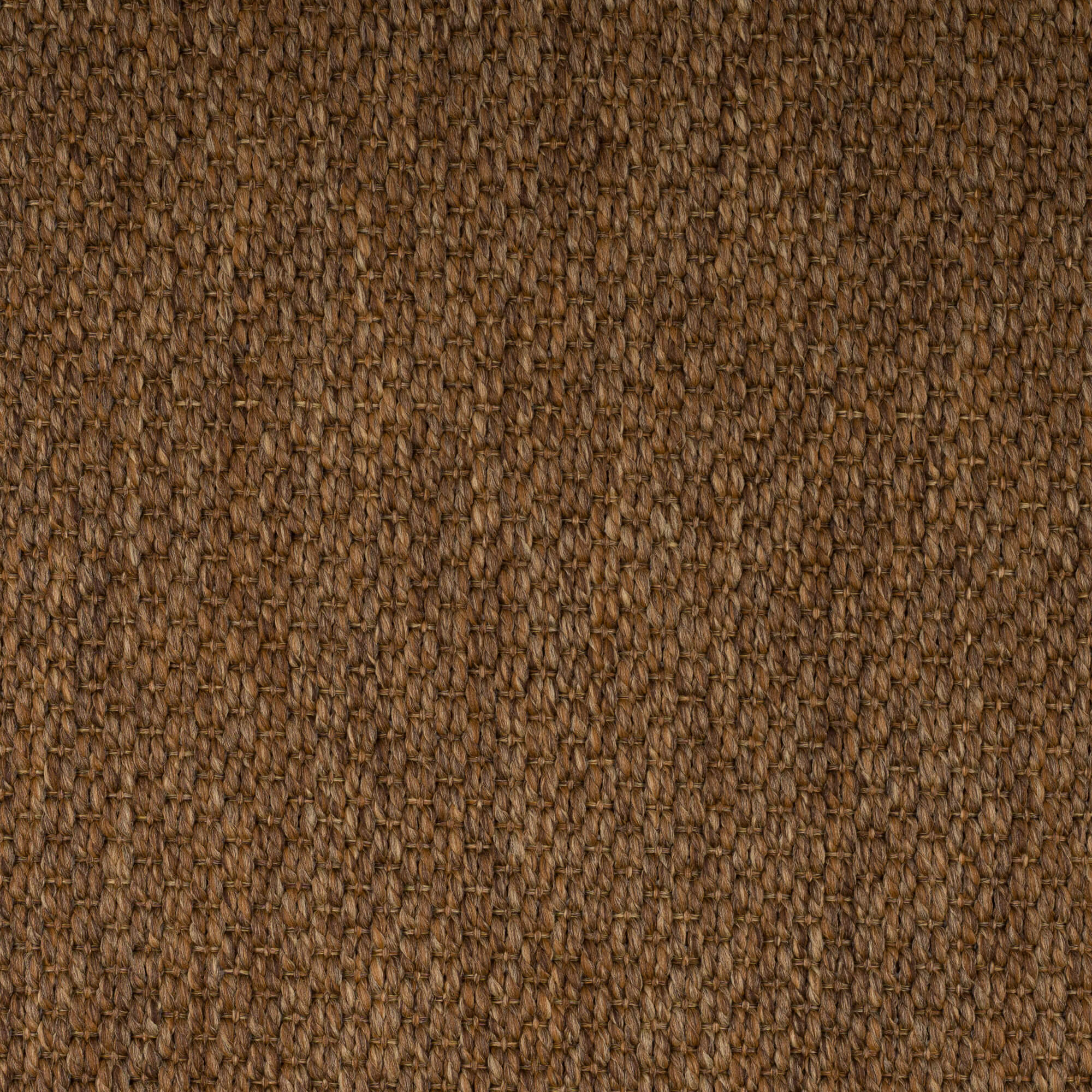 camel-tigereye-74-16-131