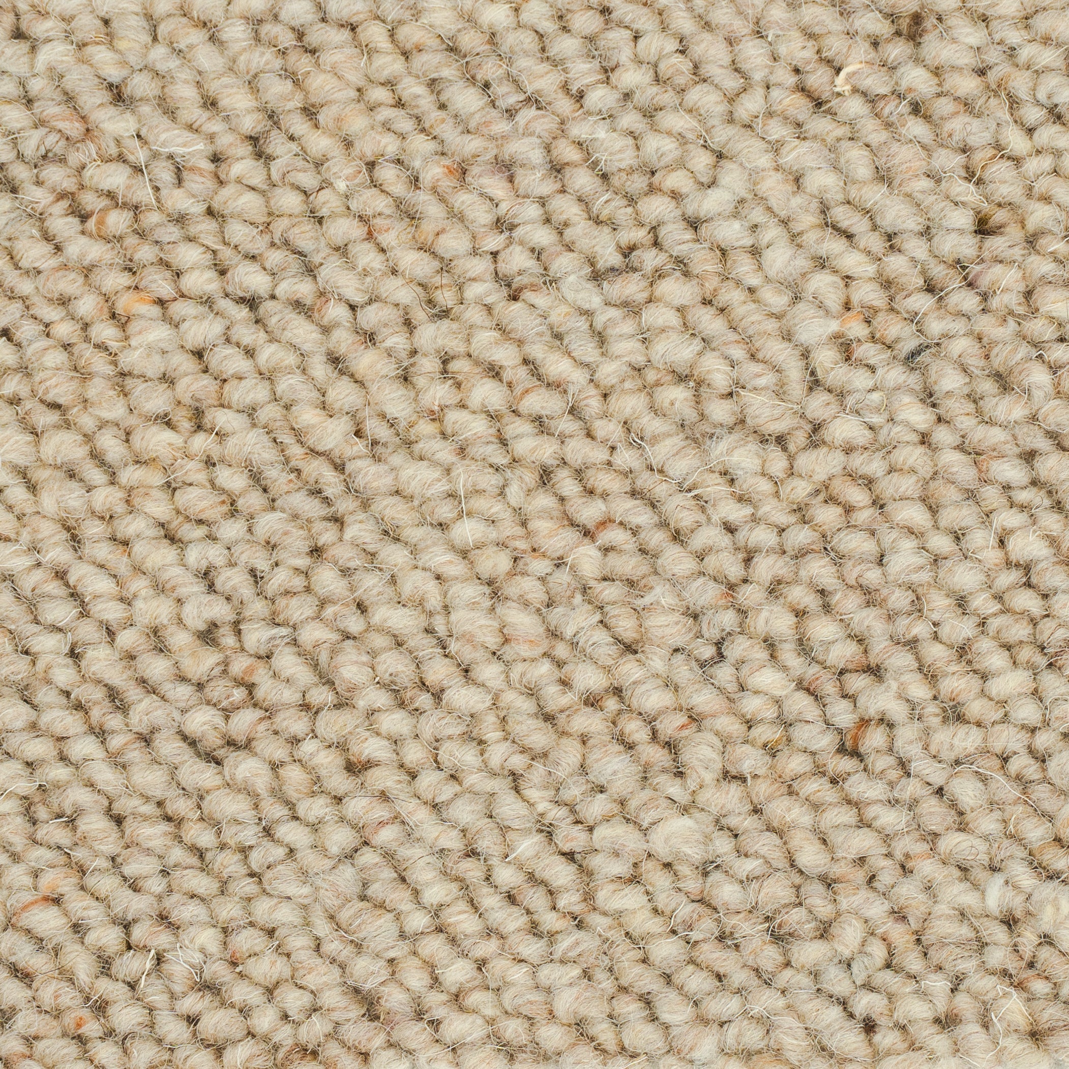 canberra-sand-92