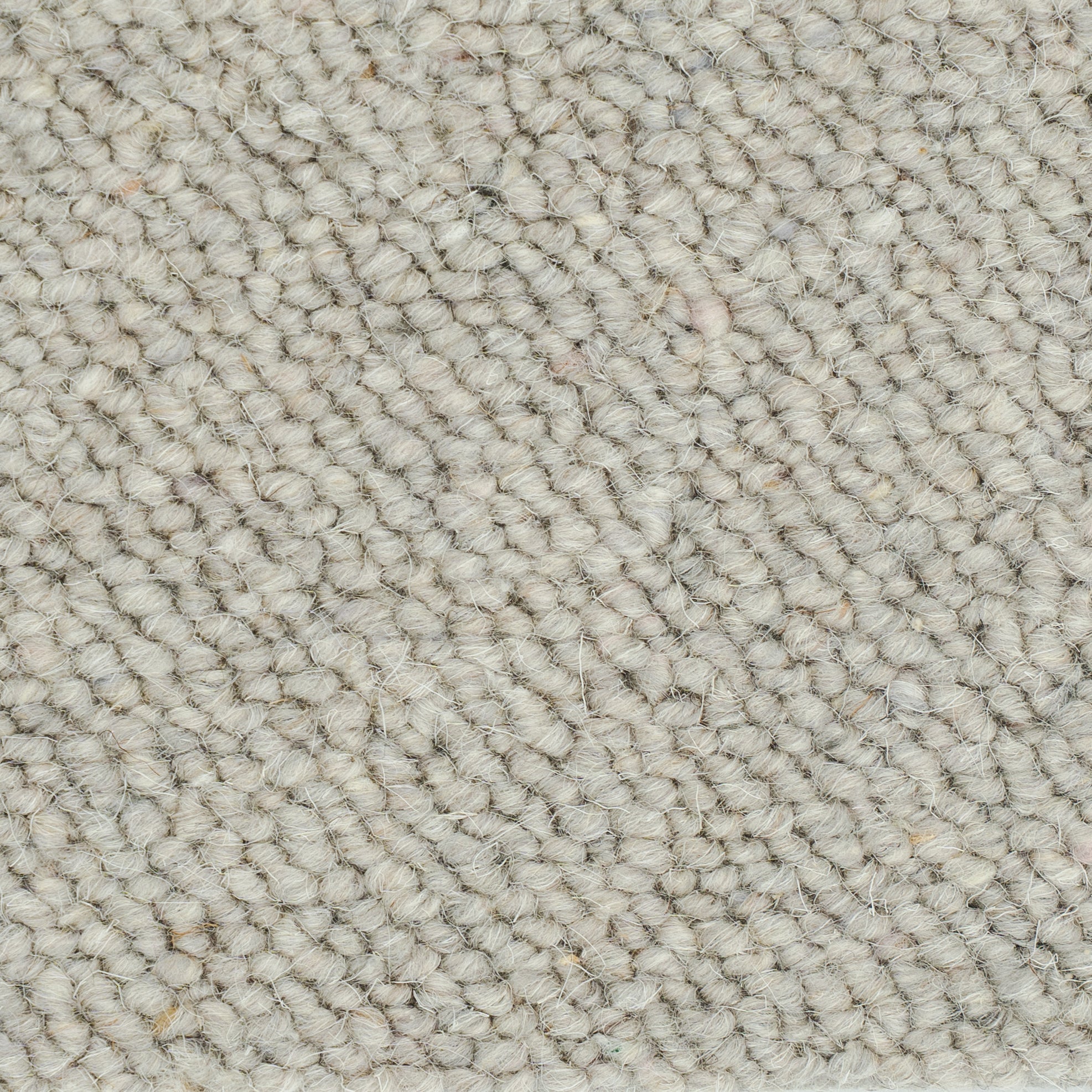 canberra-silver-174
