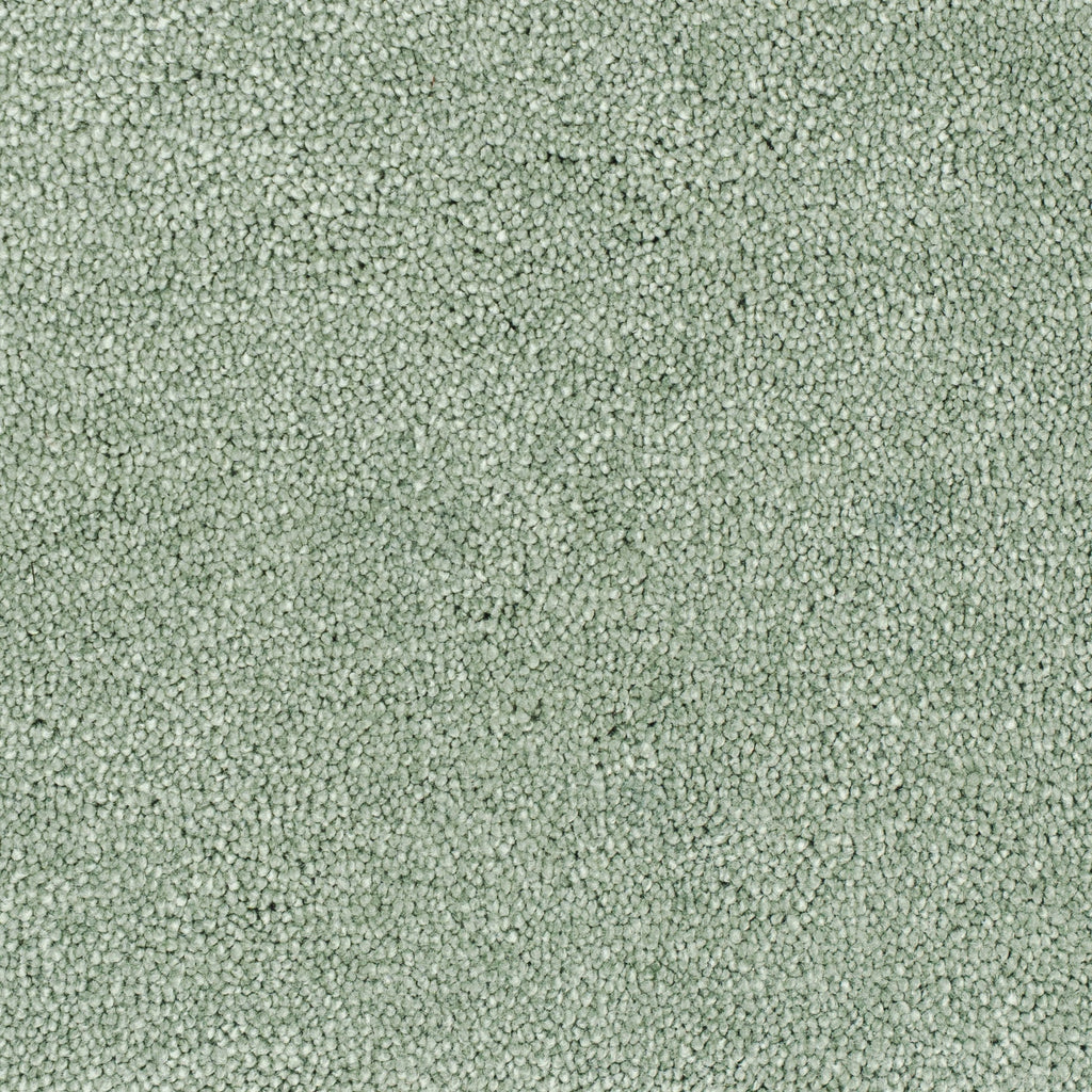 carisma-pistage-42