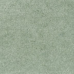 carisma-pistage-42