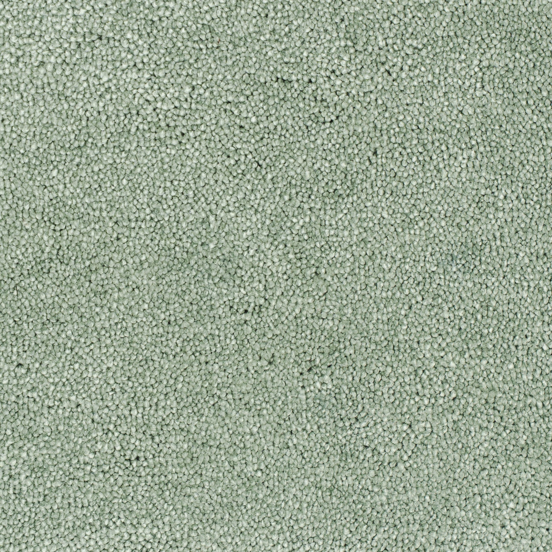 carisma-pistage-42