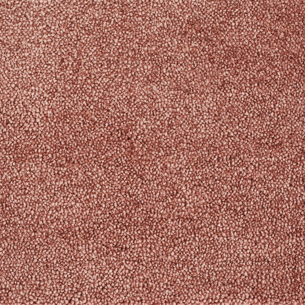 carisma-rose-10