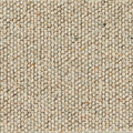 dapple-162