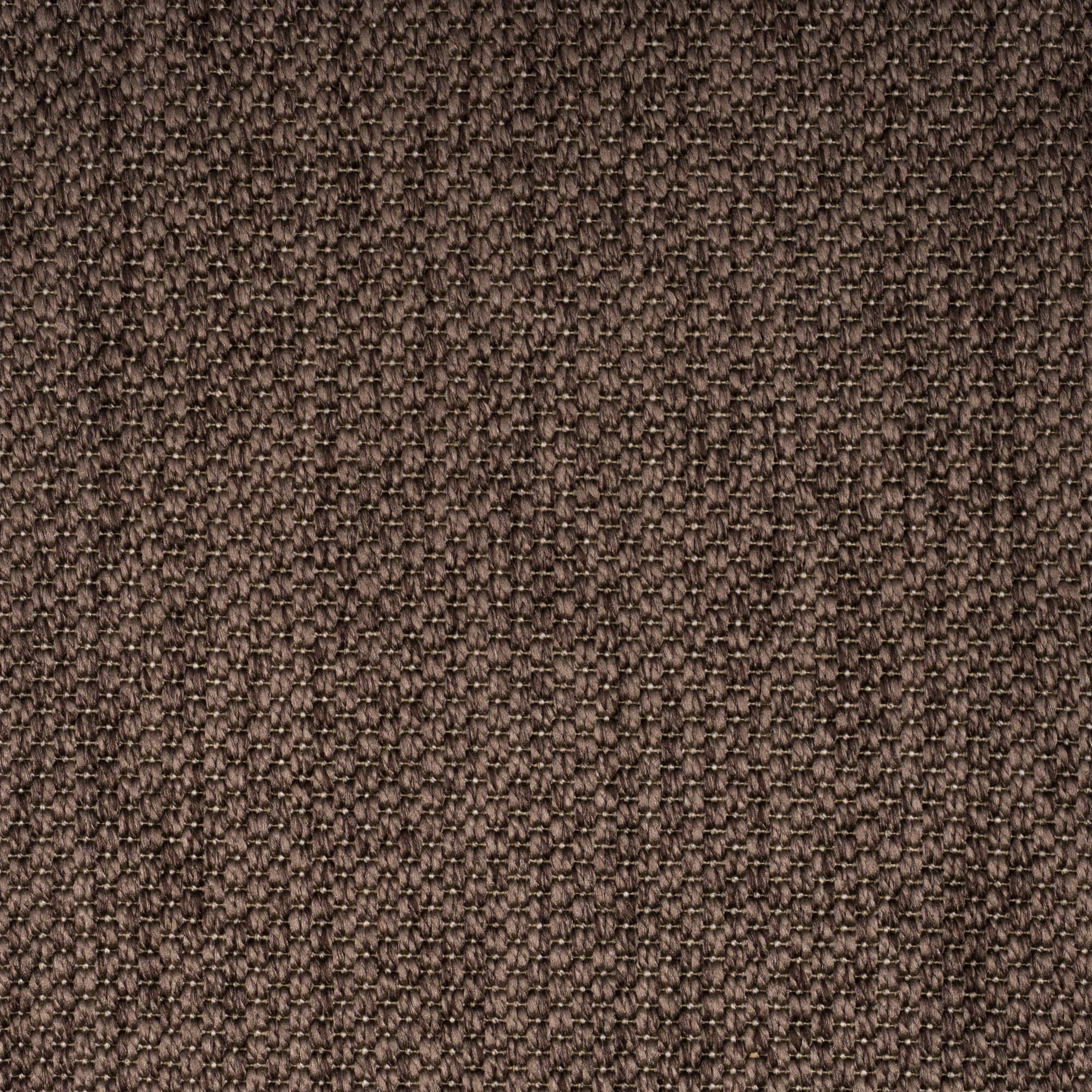 PANAMA-dark-brown-3272