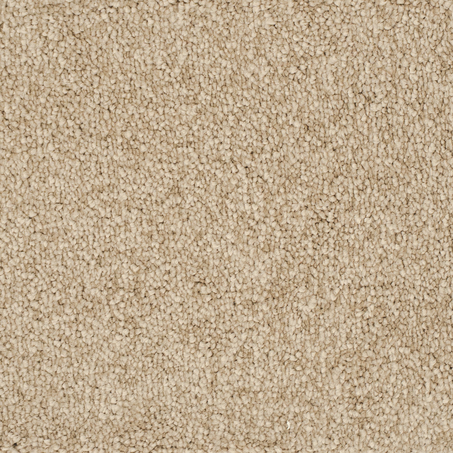 euphoria-nougat-37