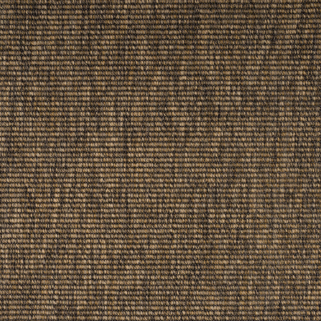 forest-boucle67-66-131