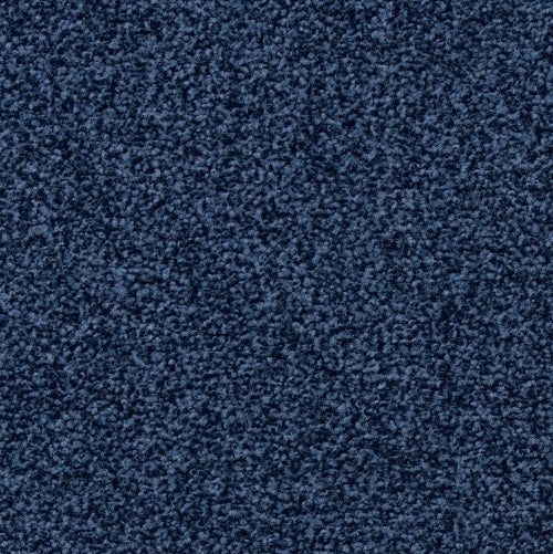 frisea_3n72