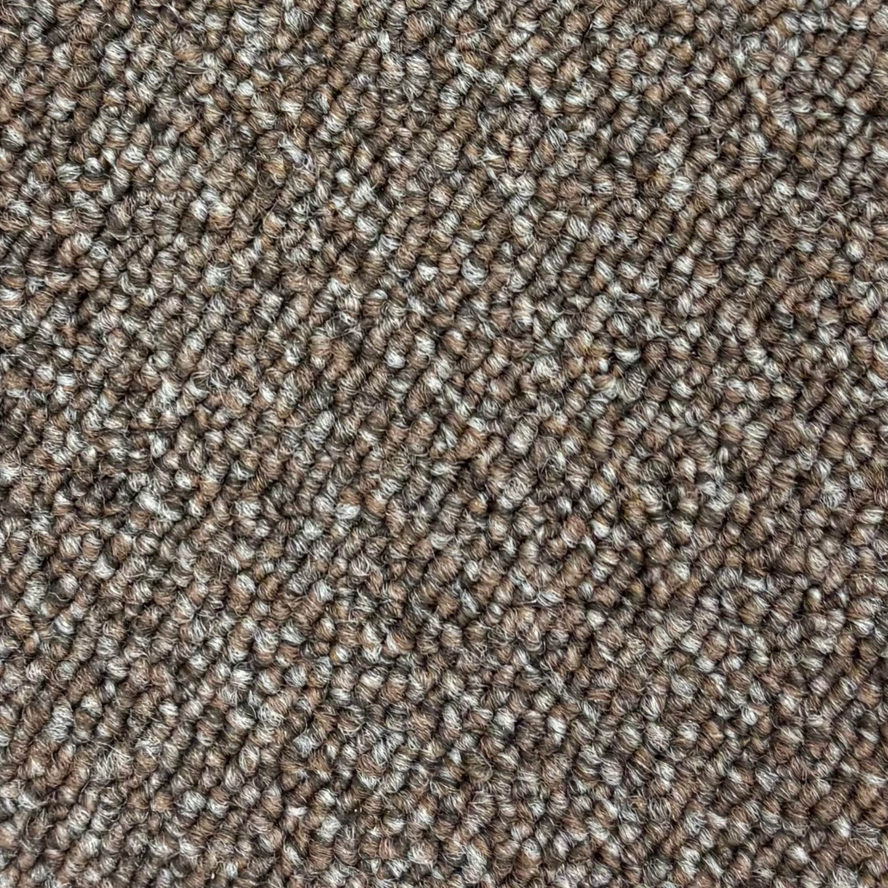 golvabia-cut-loop-brown-245102