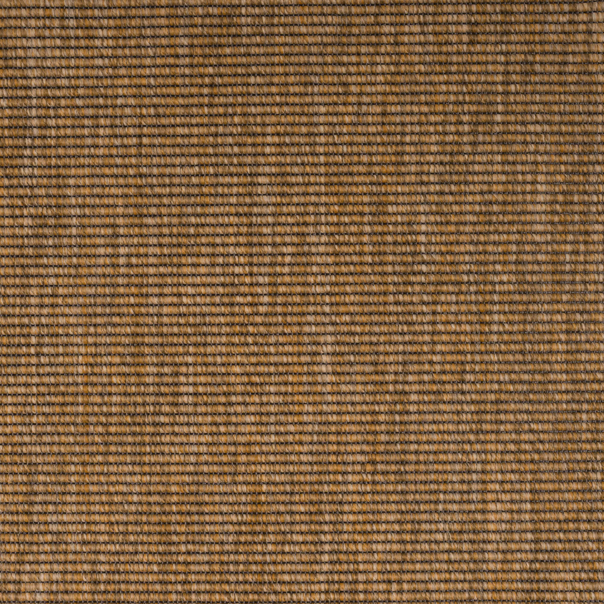 honey-boucle-67-14-131