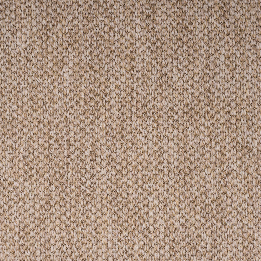 PANAMA-oat3225