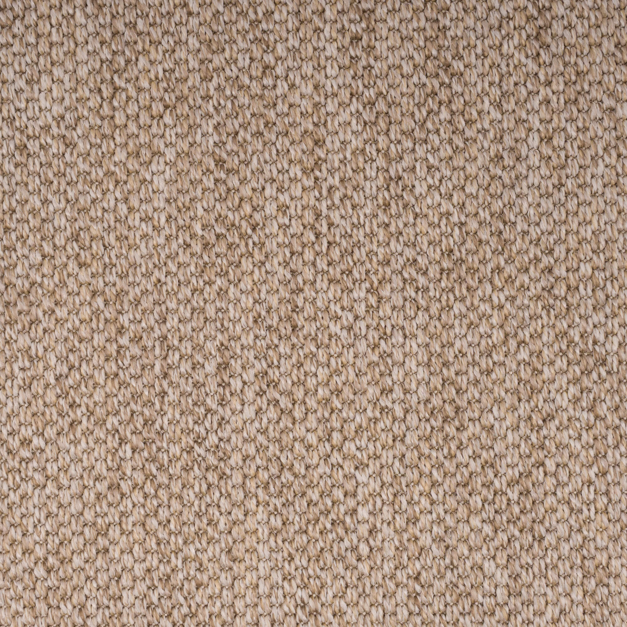 PANAMA-oat3225