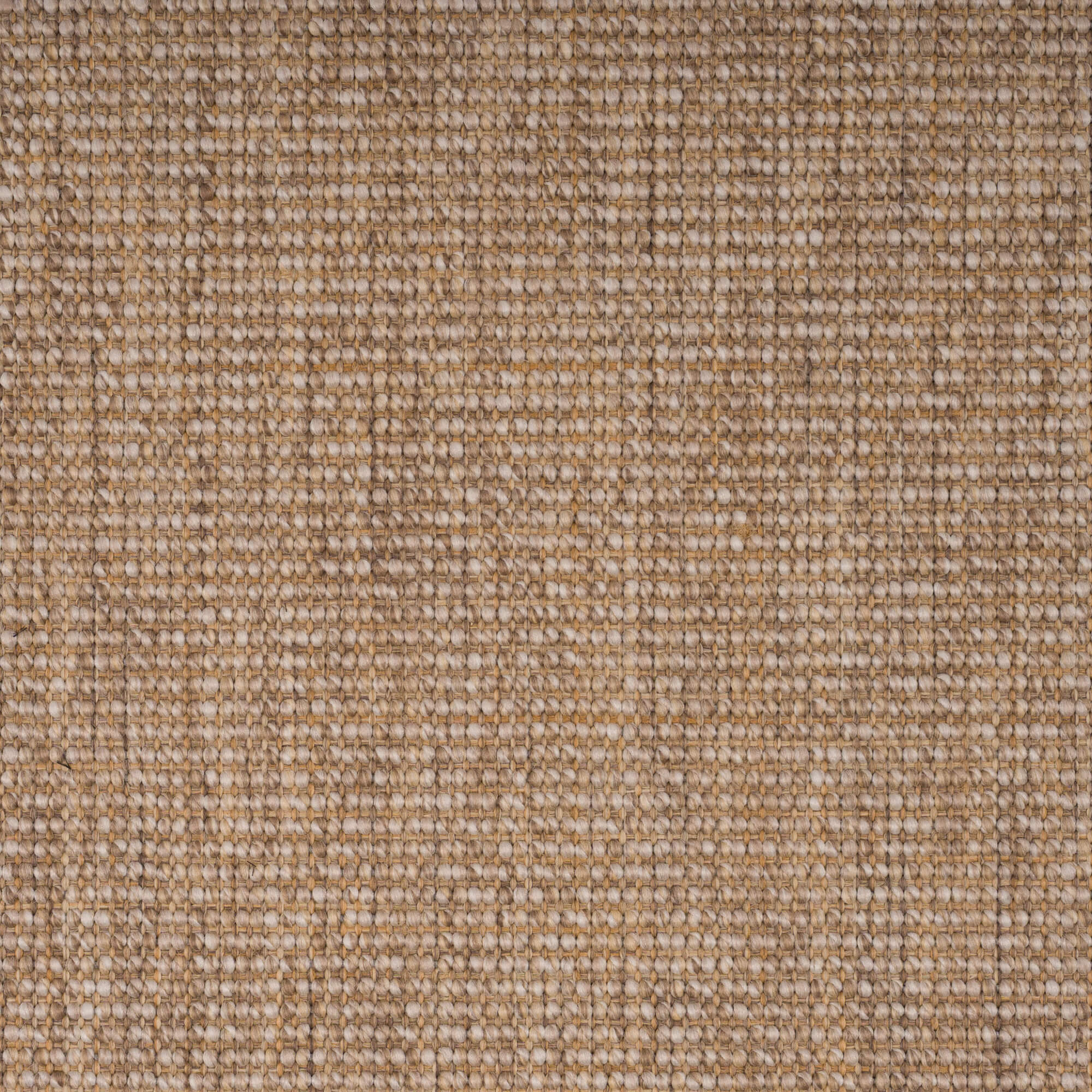 oyster-71-24-15