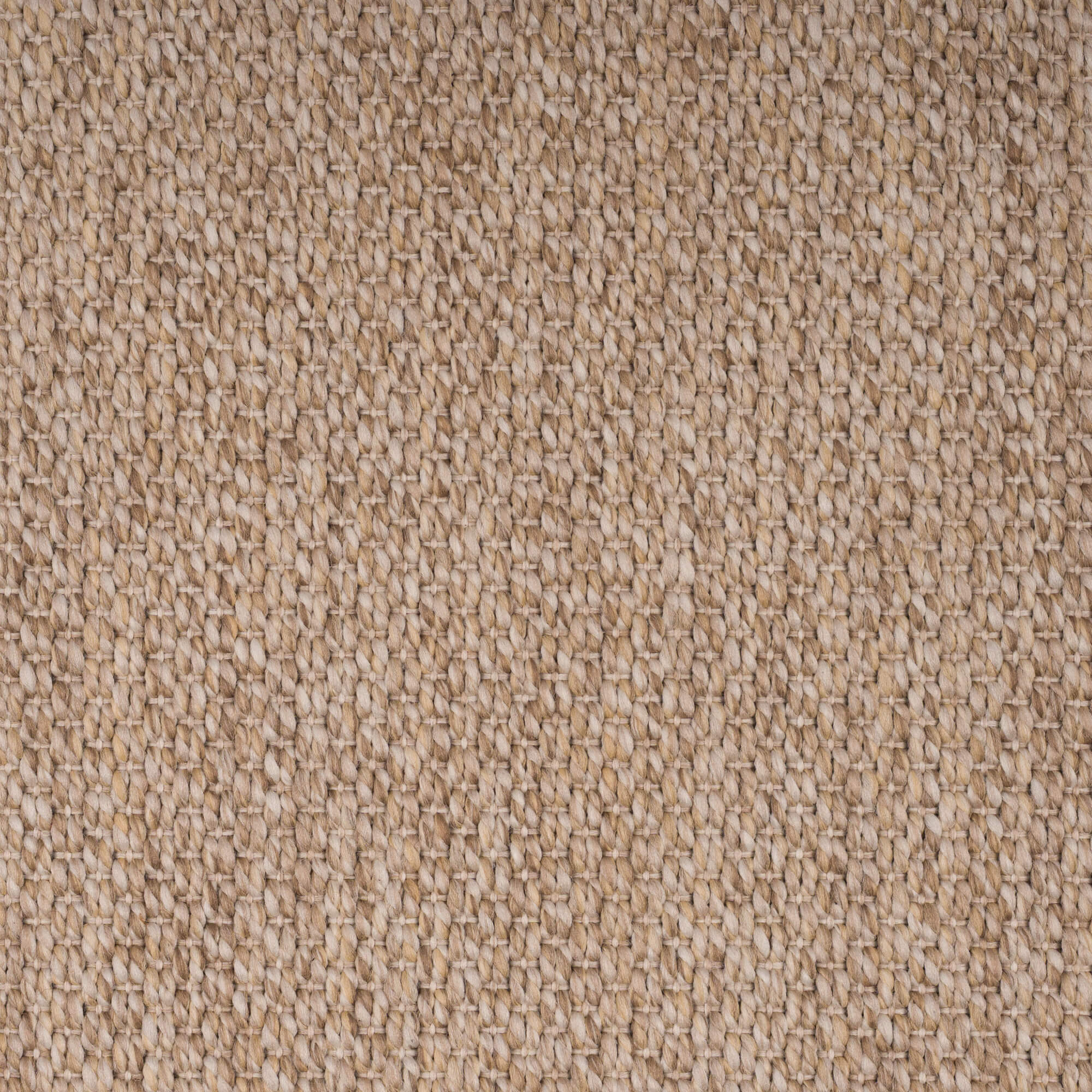 oyster-tigereye-74-24-131