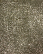 sandskorgron029
