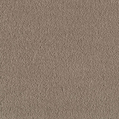 sheba-1030