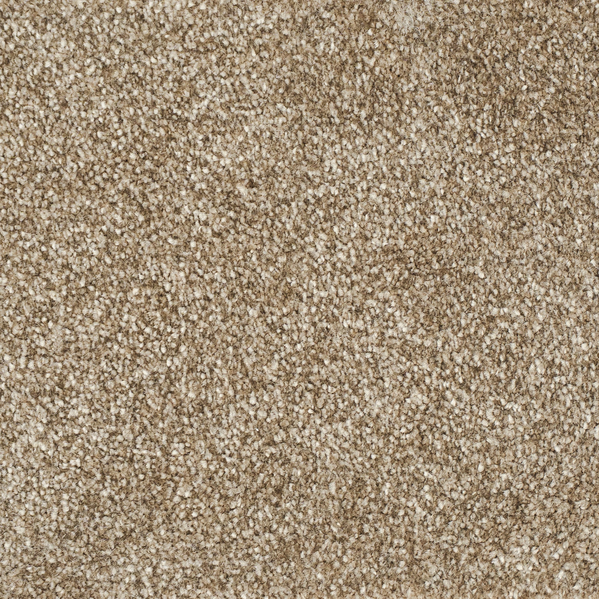 sand38