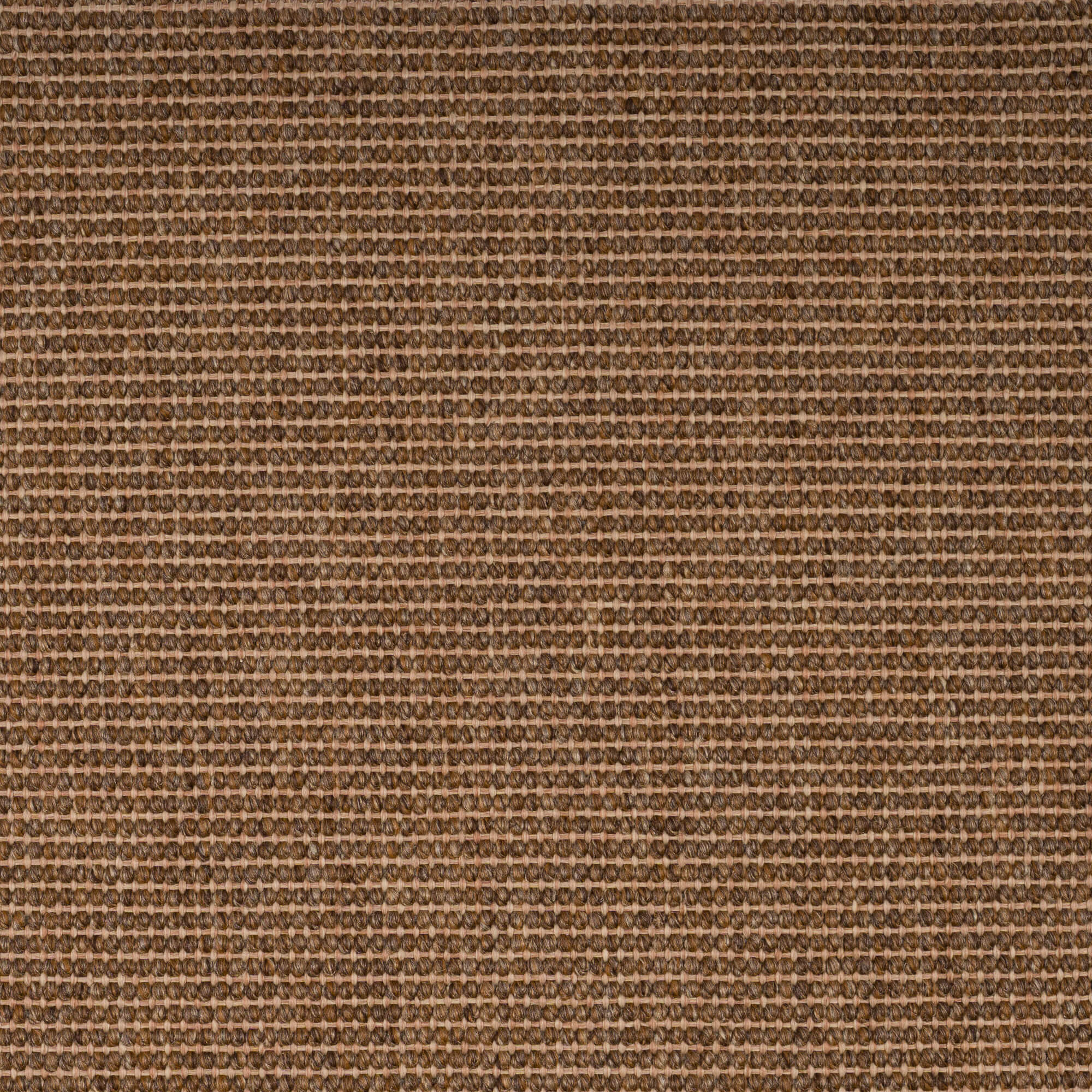 walnut-_71-28-25