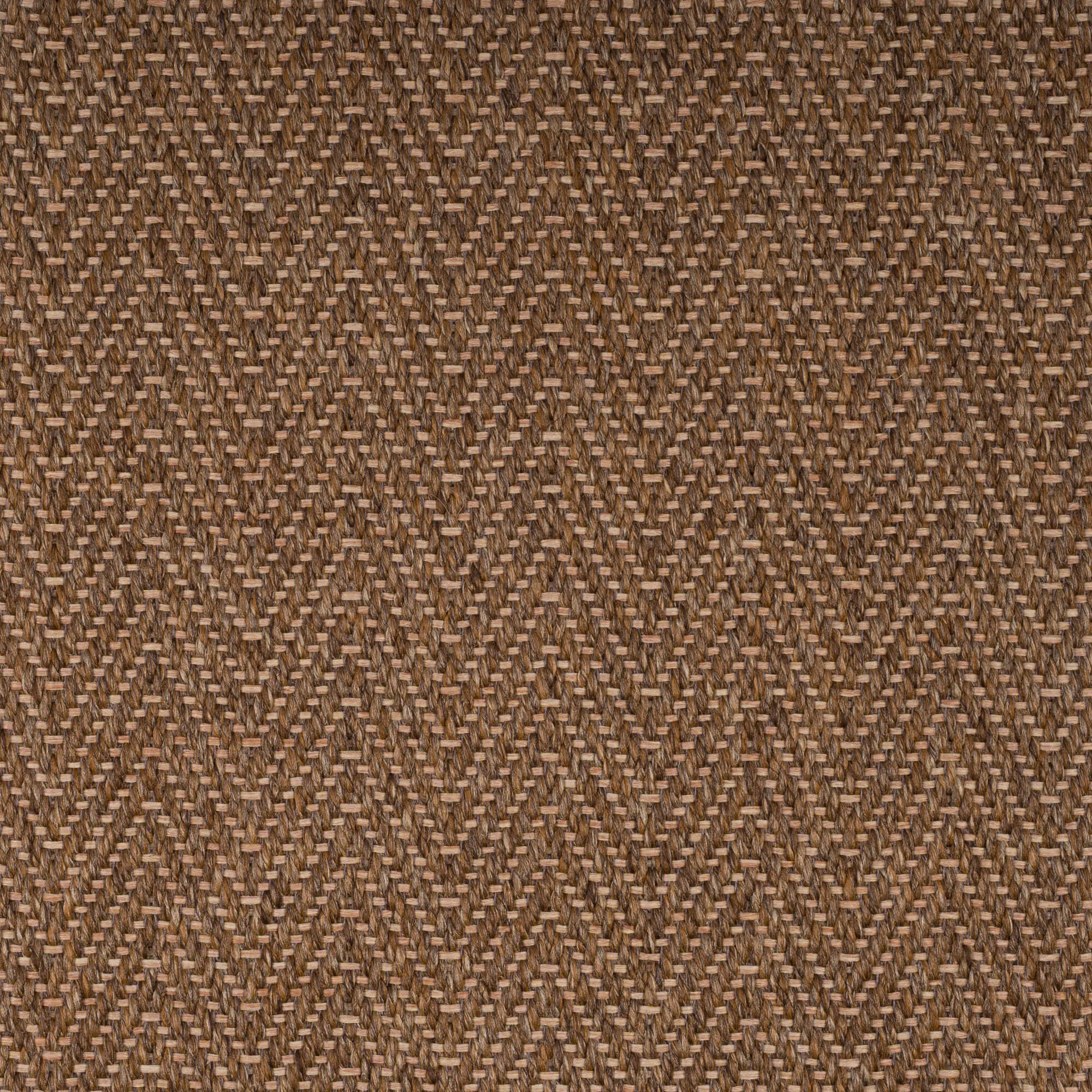 walnut_73-28-25_top