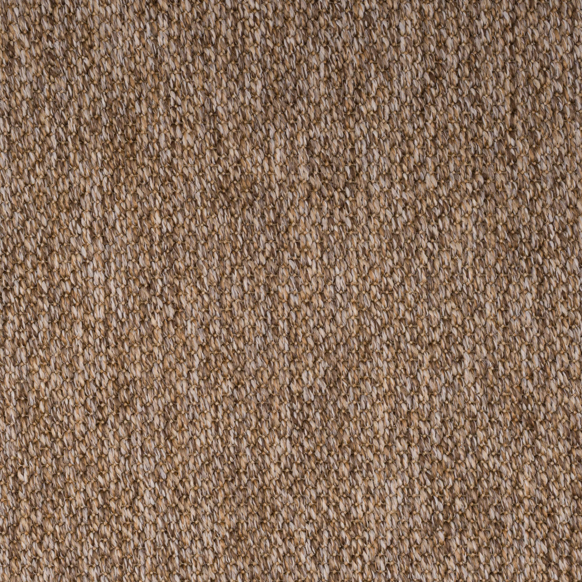 PANAMA-warm-brown-3228